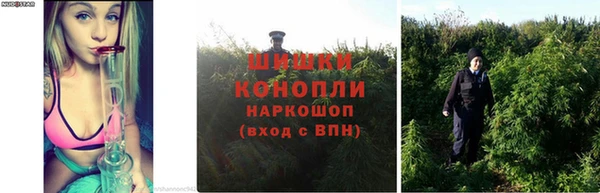 дистиллят марихуана Арсеньев